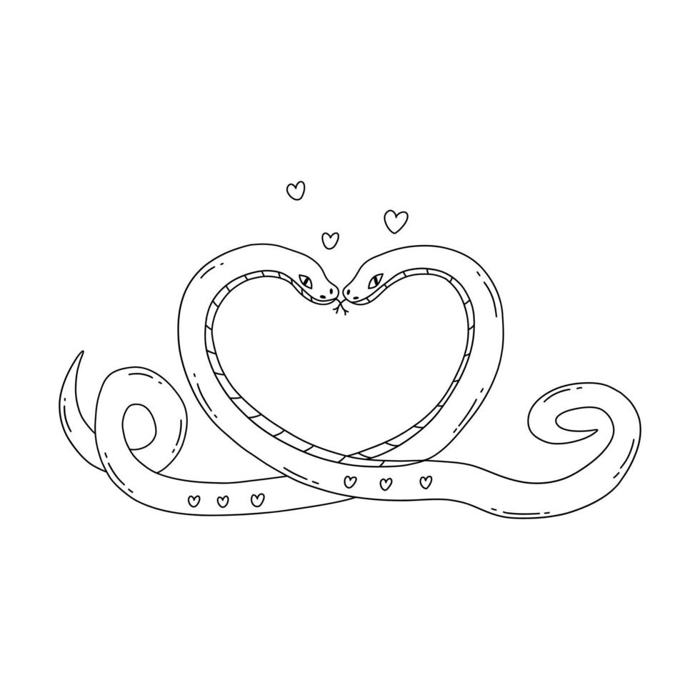 Two lovers snakes intertwined in shape of heart. vector