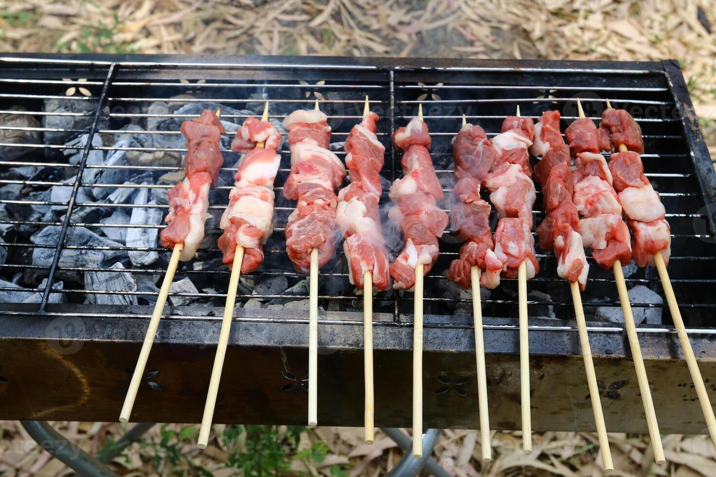 meat is fried on hot coals in a grill photo