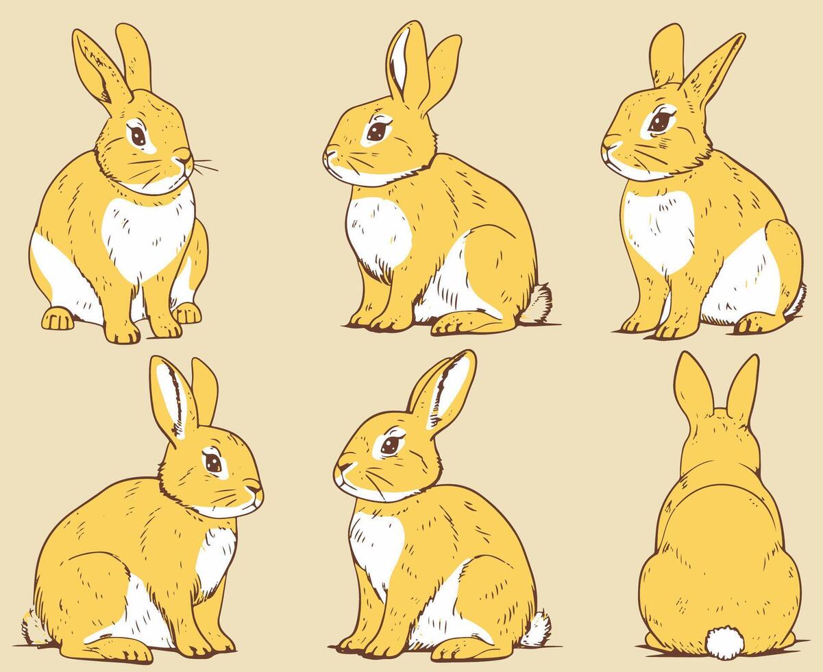 A cute simple rabbit with different angles. Nursery illustration. vector