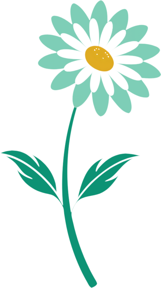 Daisy Blooms Clipart with Elegant Simplicity. . png