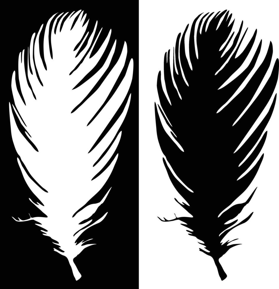 Black and White Feather Silhouette vector