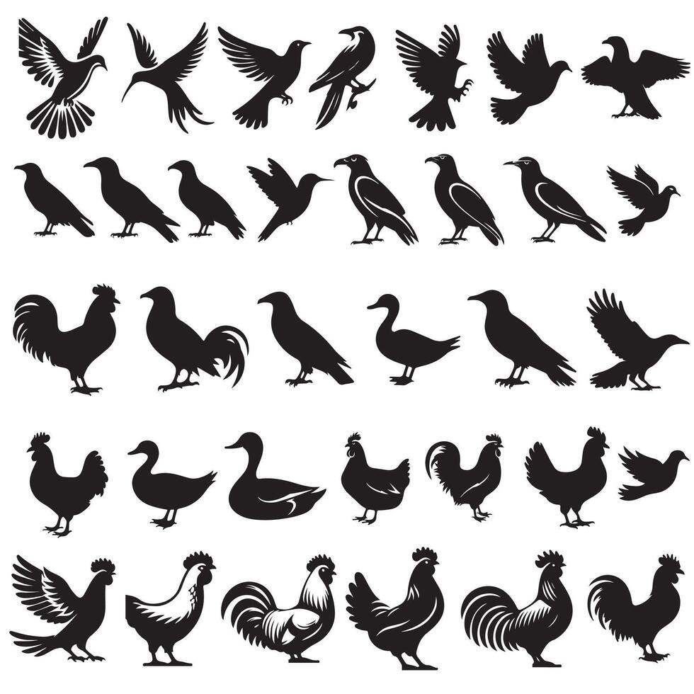 A collection of different birds and fowl silhouettes. vector