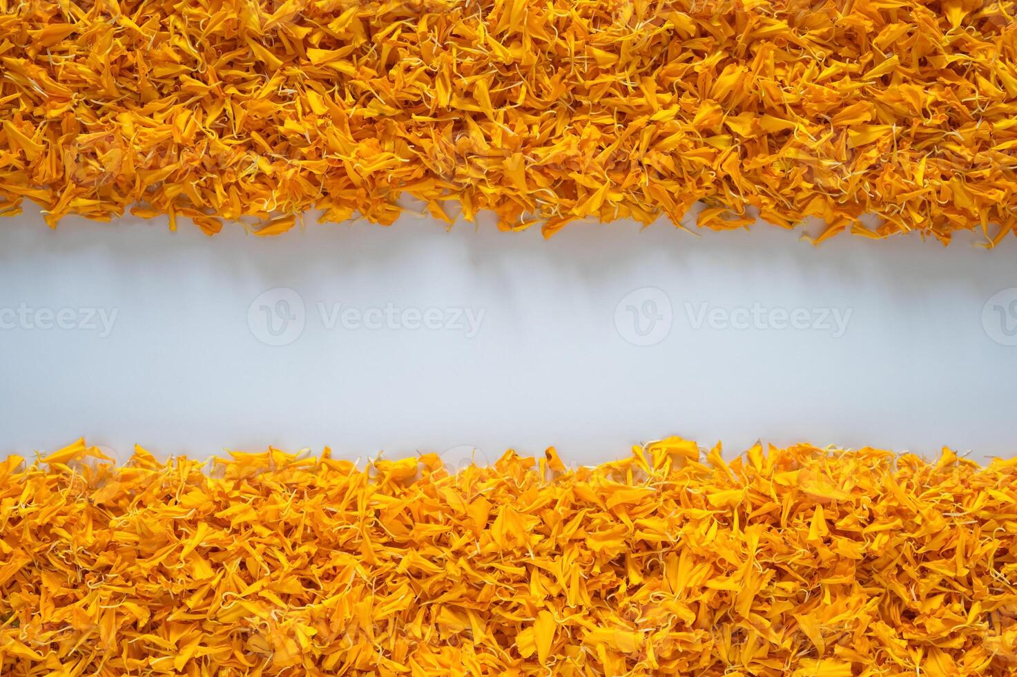 Decorative orange color marigold flower petals rangoli for Diwali festival with white space background. photo
