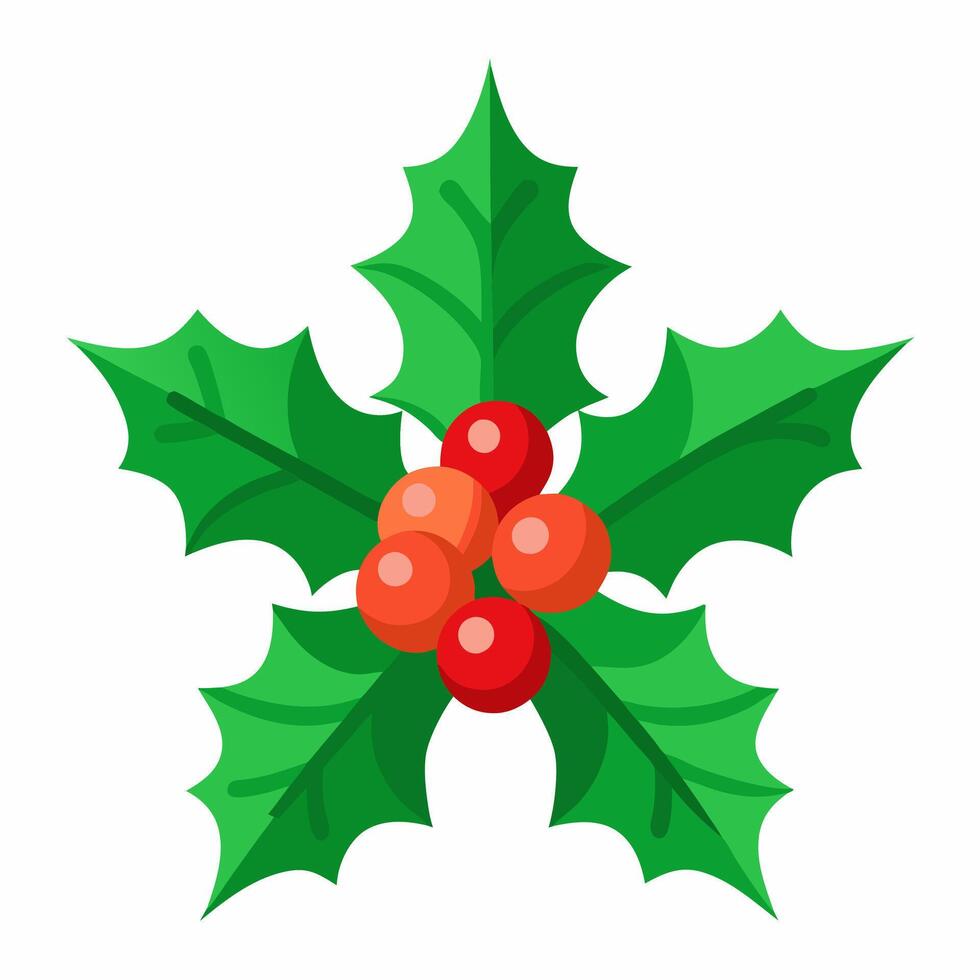 Holly branch with red berries Christmas symbol illustration vector
