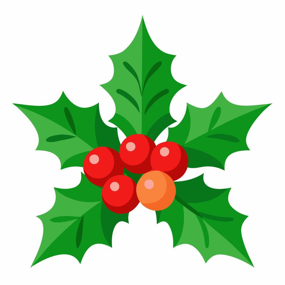 Holly branch with red berries Christmas symbol illustration vector