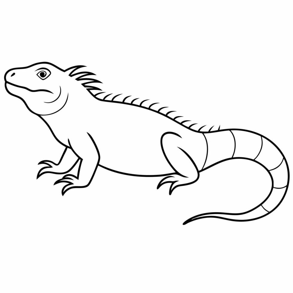 A Simple line Art Drawing Of A Beautiful Iguana Illustration vector