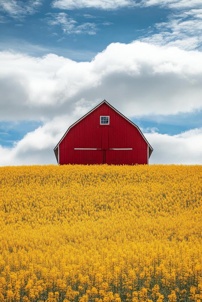 A vibrant yellow flower field surrounds a rustic red barn under a cloudy sky photo