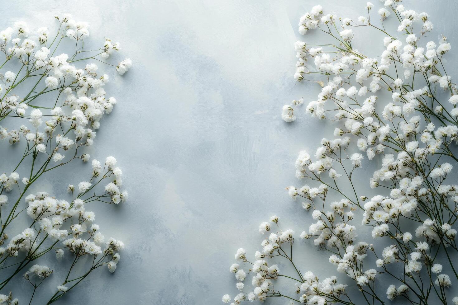 Delicate white baby breath flowers arranged gracefully in a minimalist setting photo