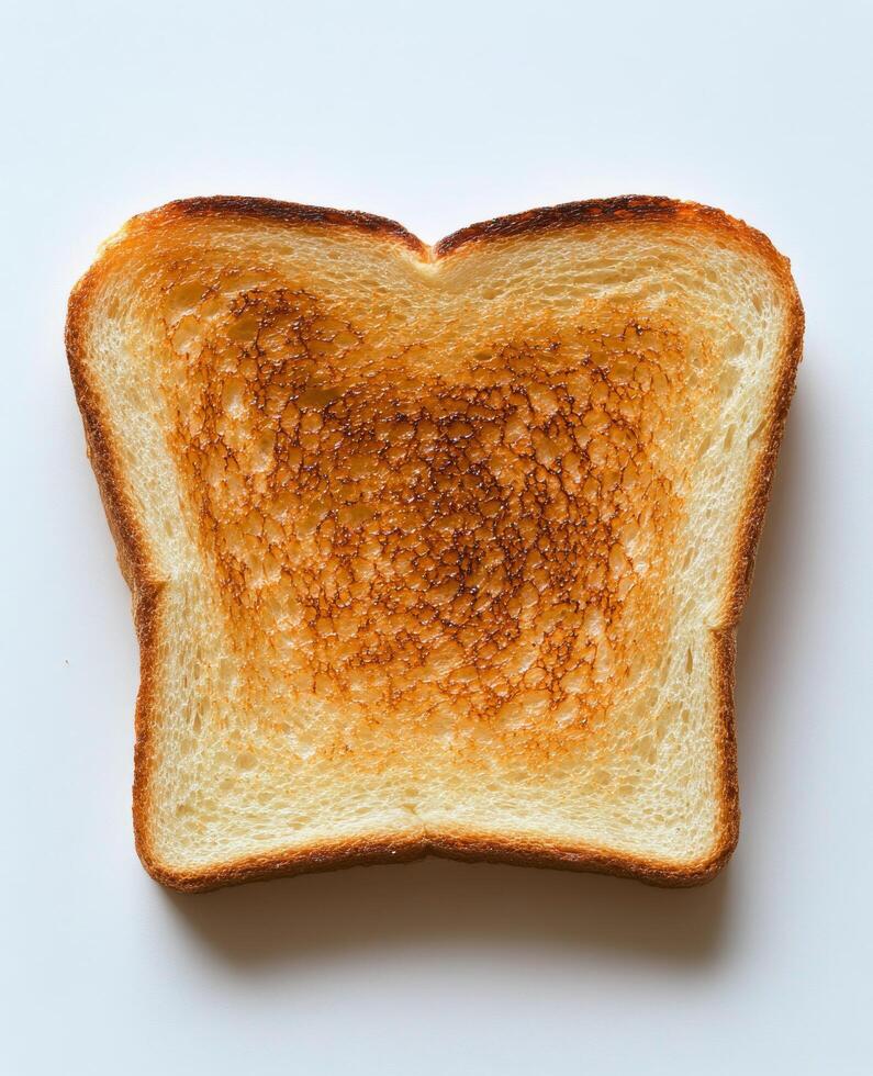Toasted slice of bread with golden brown crust on a neutral background ready for toppings photo