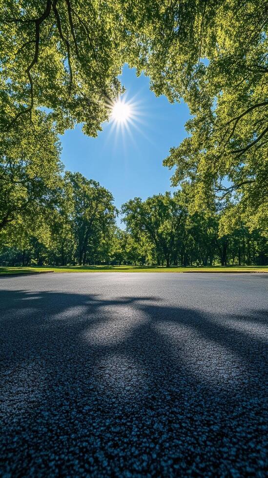 Serene tree lined road beckoning peaceful walks in a sunny park setting during afternoon hours photo