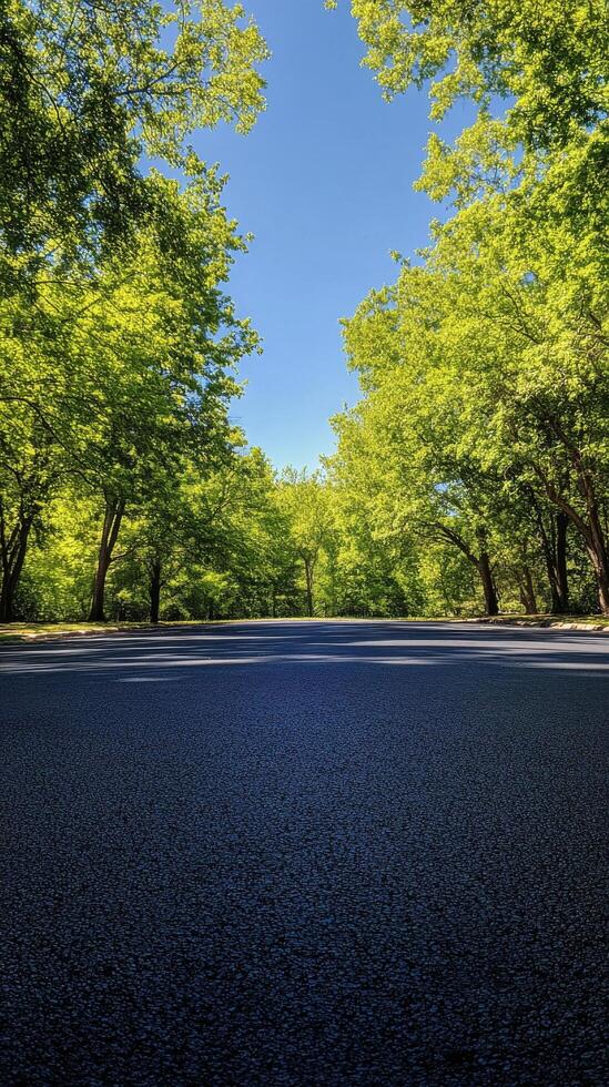 Serene tree lined road beckoning peaceful walks in a sunny park setting during afternoon hours photo