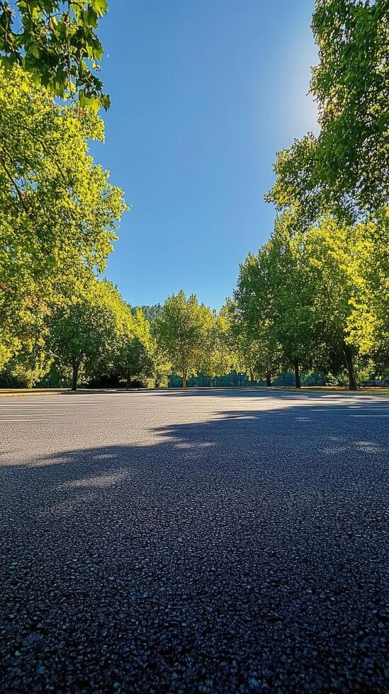 Serene tree lined road beckoning peaceful walks in a sunny park setting during afternoon hours photo