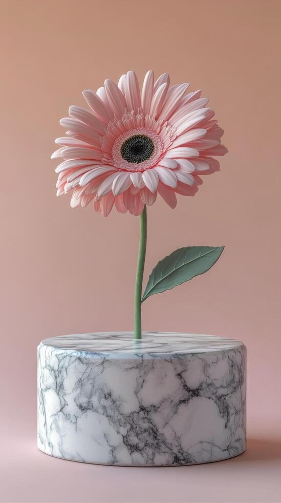 A single pink gerbera daisy in a marble pot against a soft pink background in bright light photo
