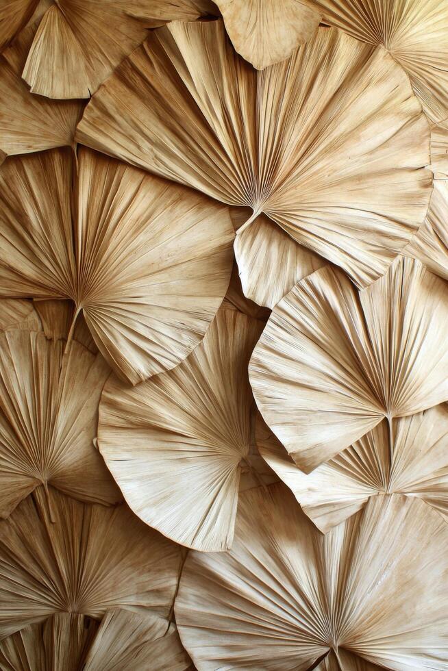 Decoratively arranged dried palm leaves creating a textured wall display in natural light photo