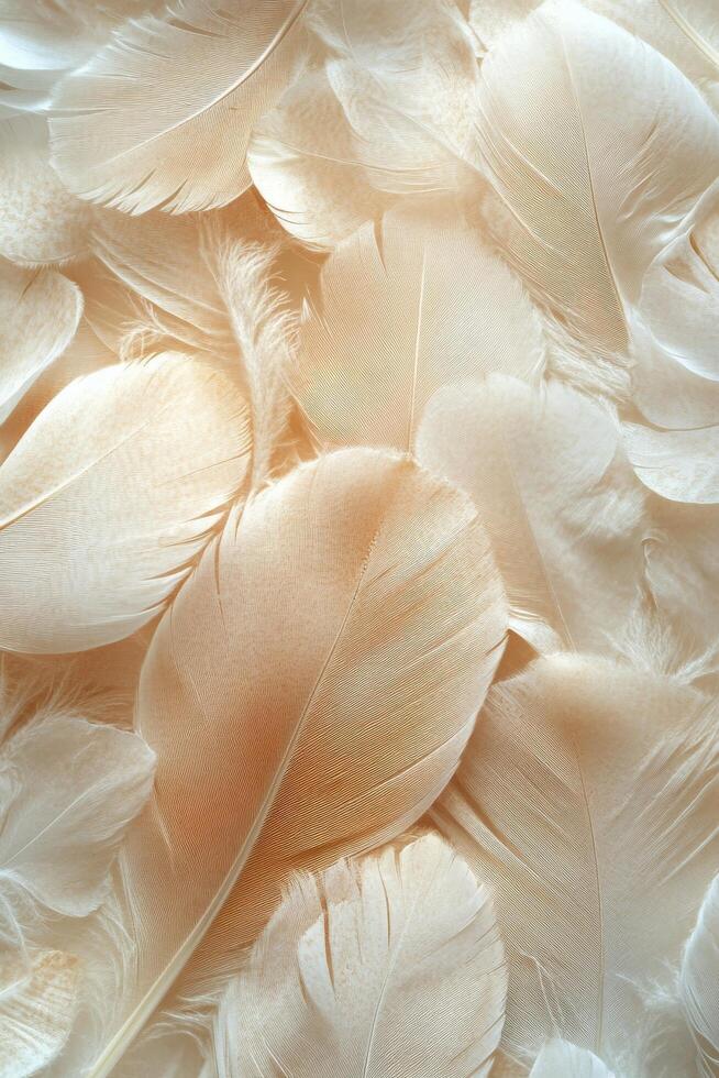 Delicate white and beige feathers arranged in a soft, textured pattern on a neutral background photo