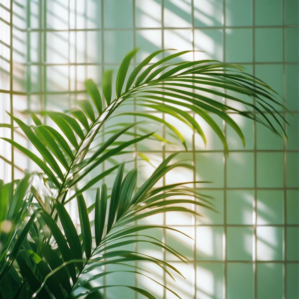 Lush green tropical plants casting shadows on a light colored wall during daylight hours photo