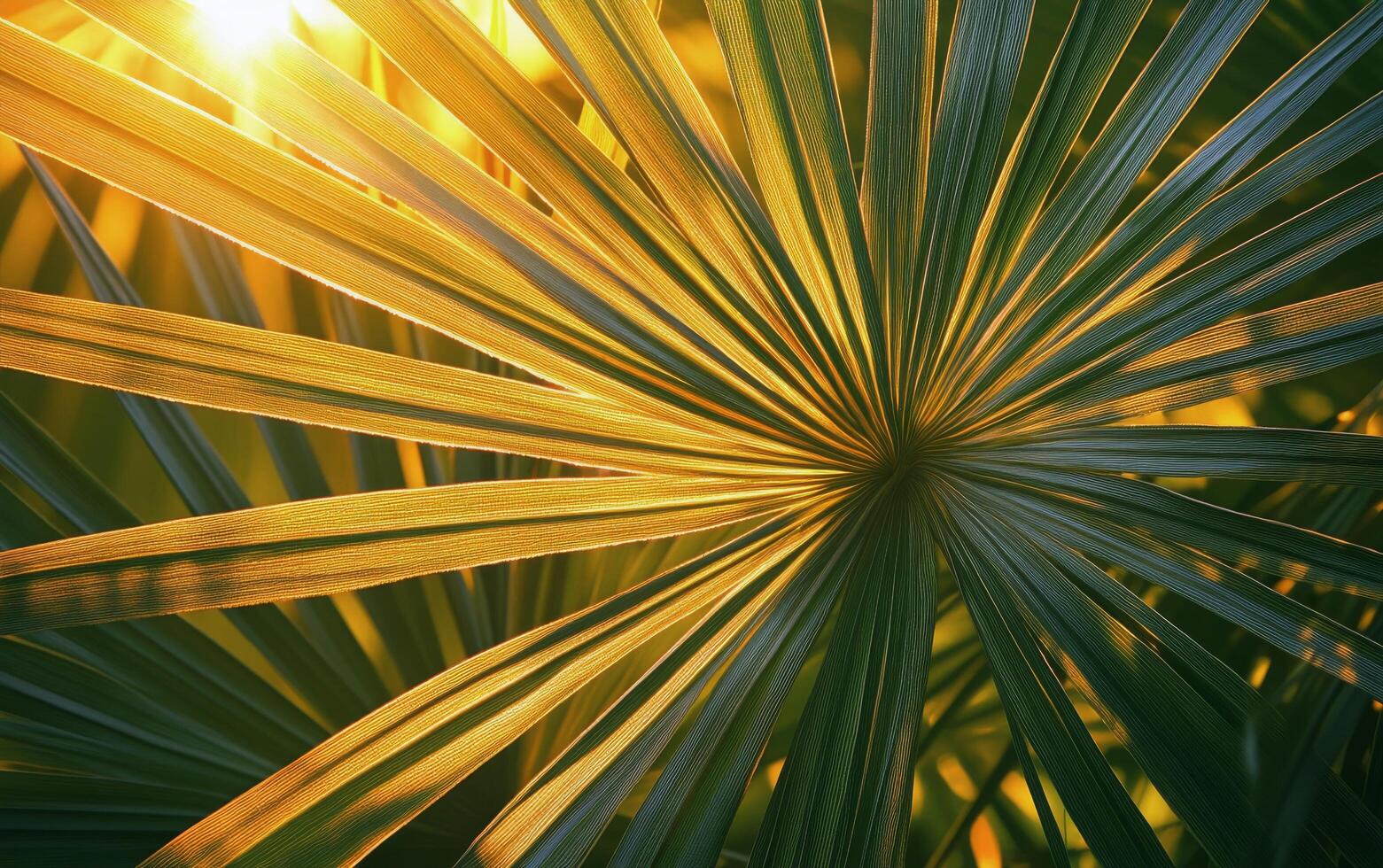 Bright green palm leaves illuminated by sunlight against a light backdrop in a tropical setting photo