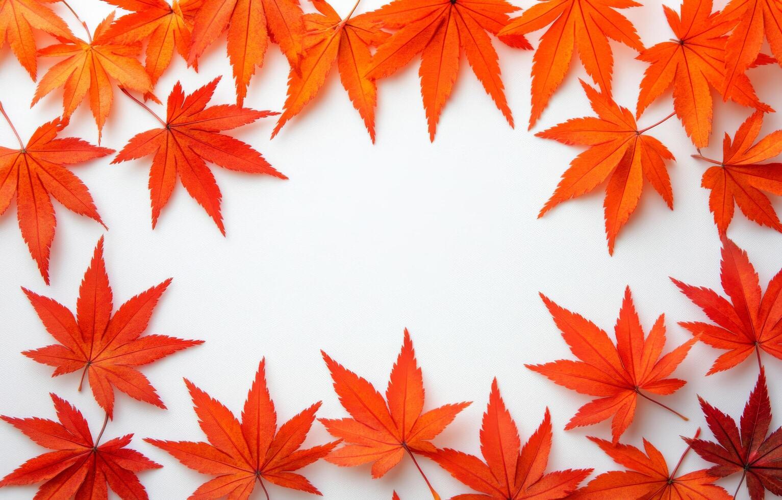 Autumn leaves in shades of red and orange arranged on a white background during fall season photo