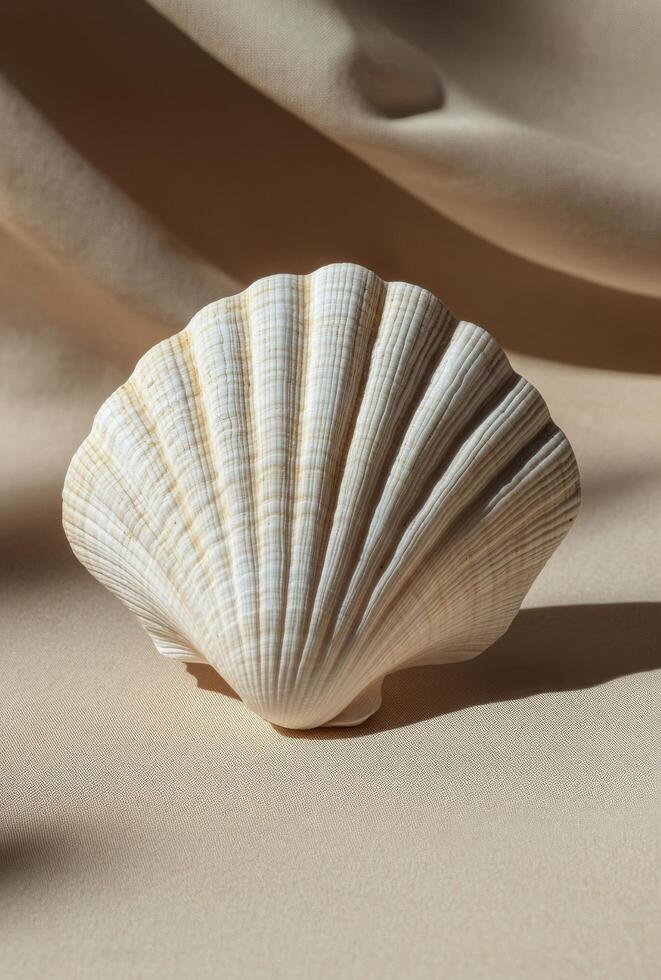 A detailed view of a seashell resting on a sandy surface under natural light during daytime photo