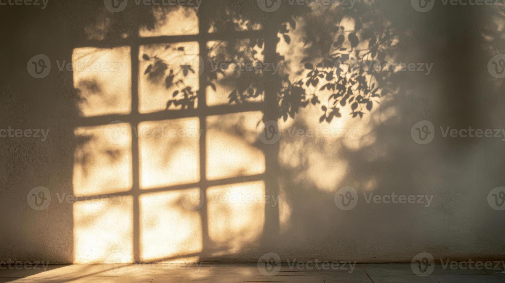 Sunlight Filtering Through Window and Tree Shadow on Wall photo