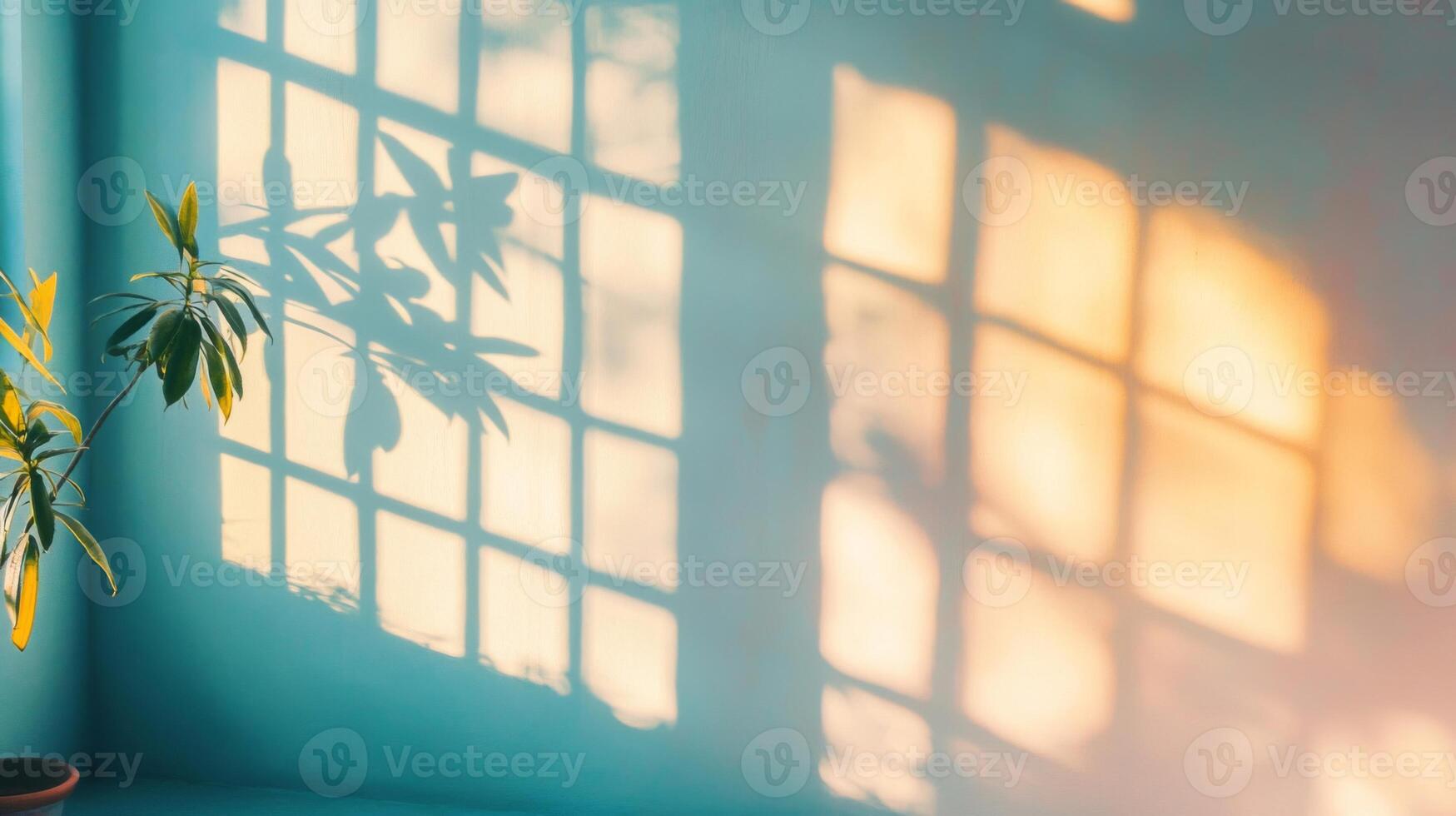 A Plant Casts a Shadow on a Wall with Window Light photo