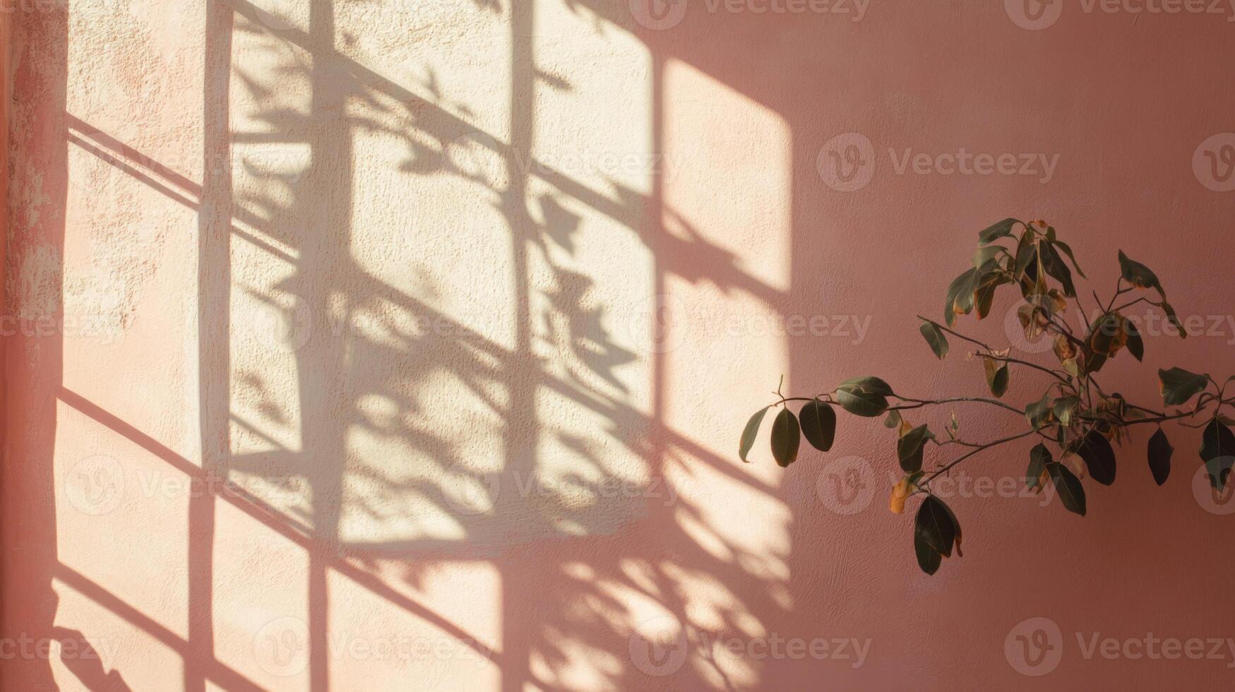 A Pink Wall with a Window Shadow and a Plant Branch photo