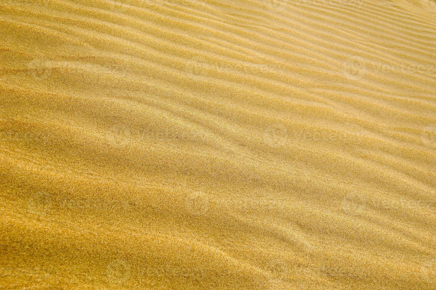 wavs in the sand photo
