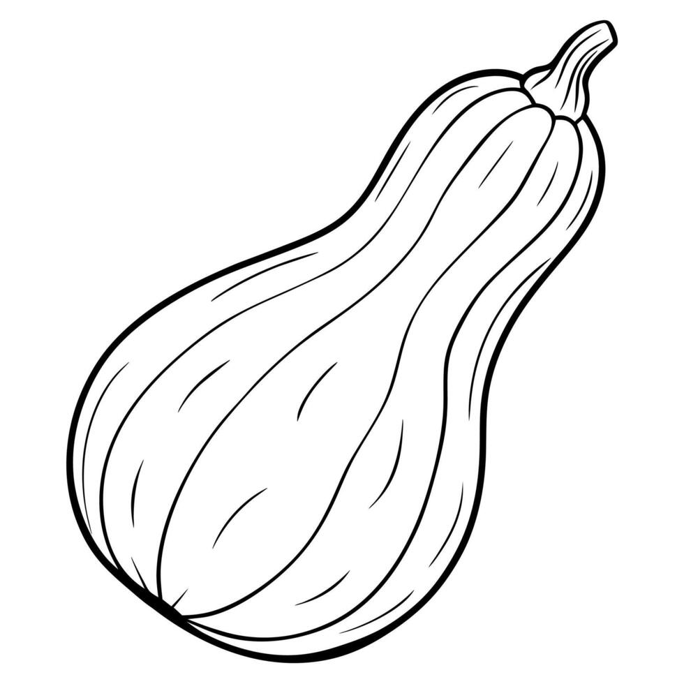 A drawing of a squash on a white background vector
