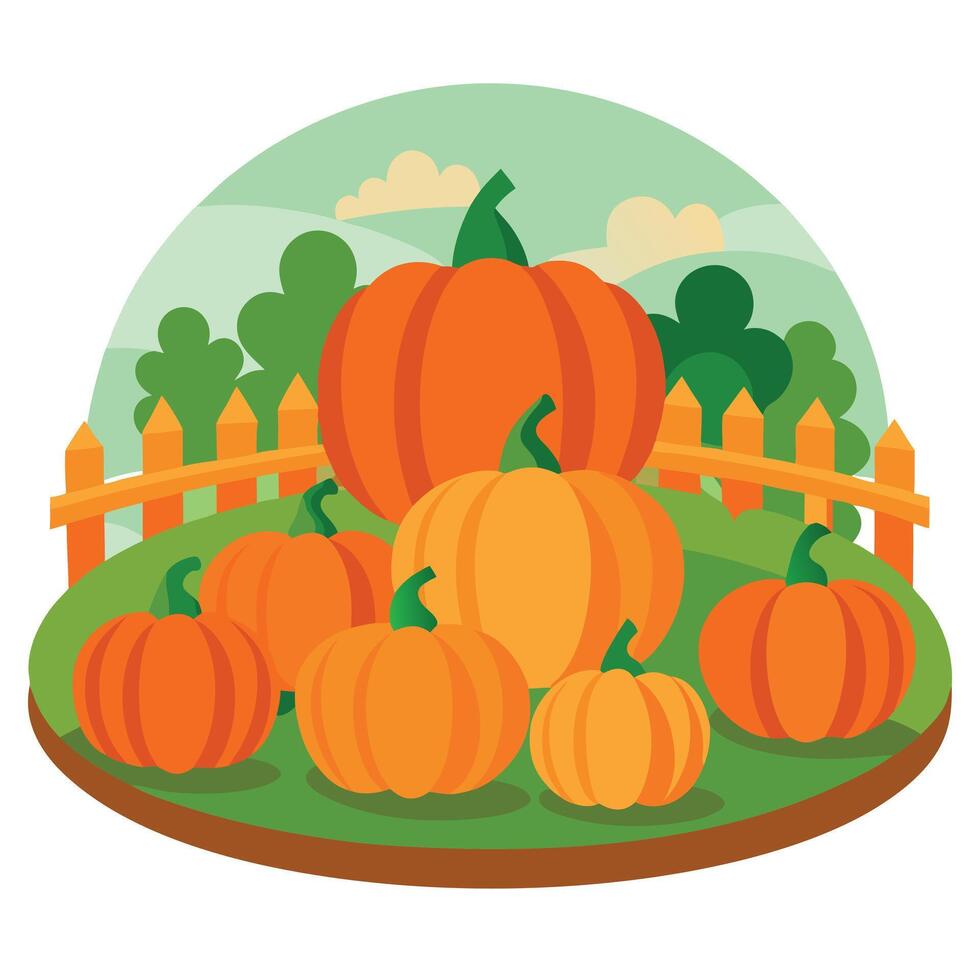 Pumpkins in a field with a fence and trees vector