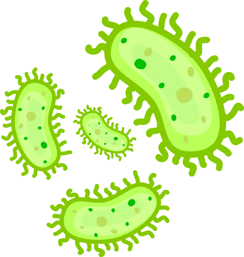 Bacteri infection Illustration png