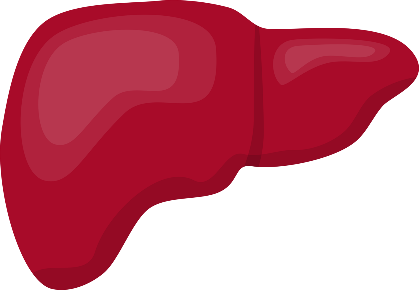 Human liver Illustration png