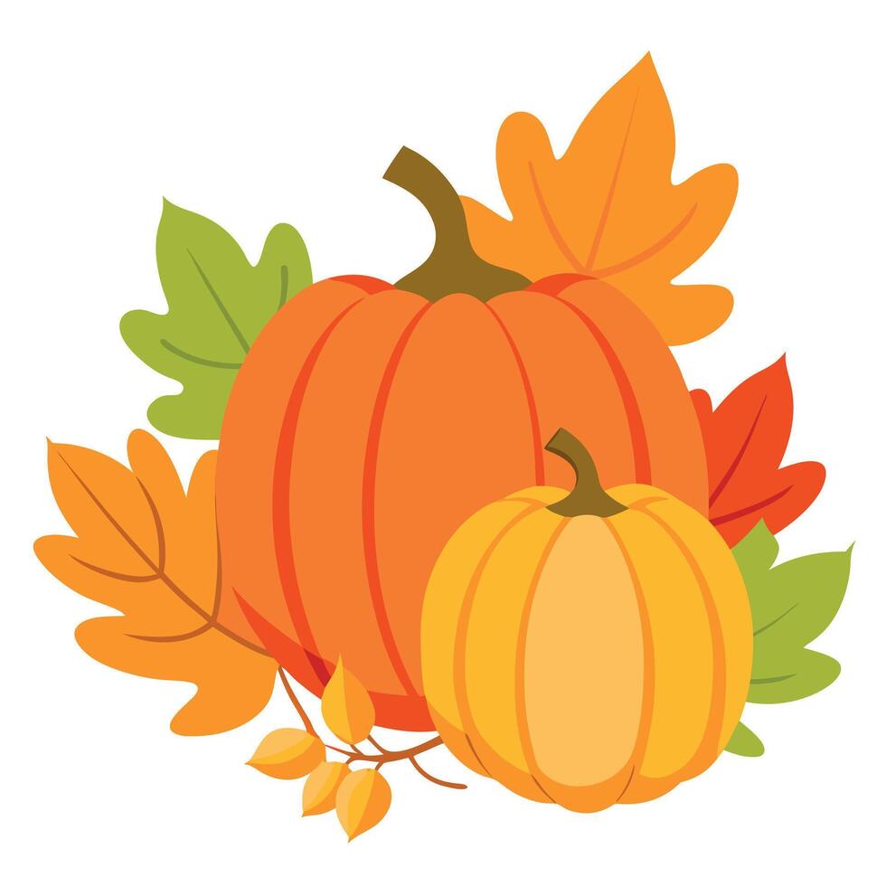 Pumpkins and leaves on a white background vector