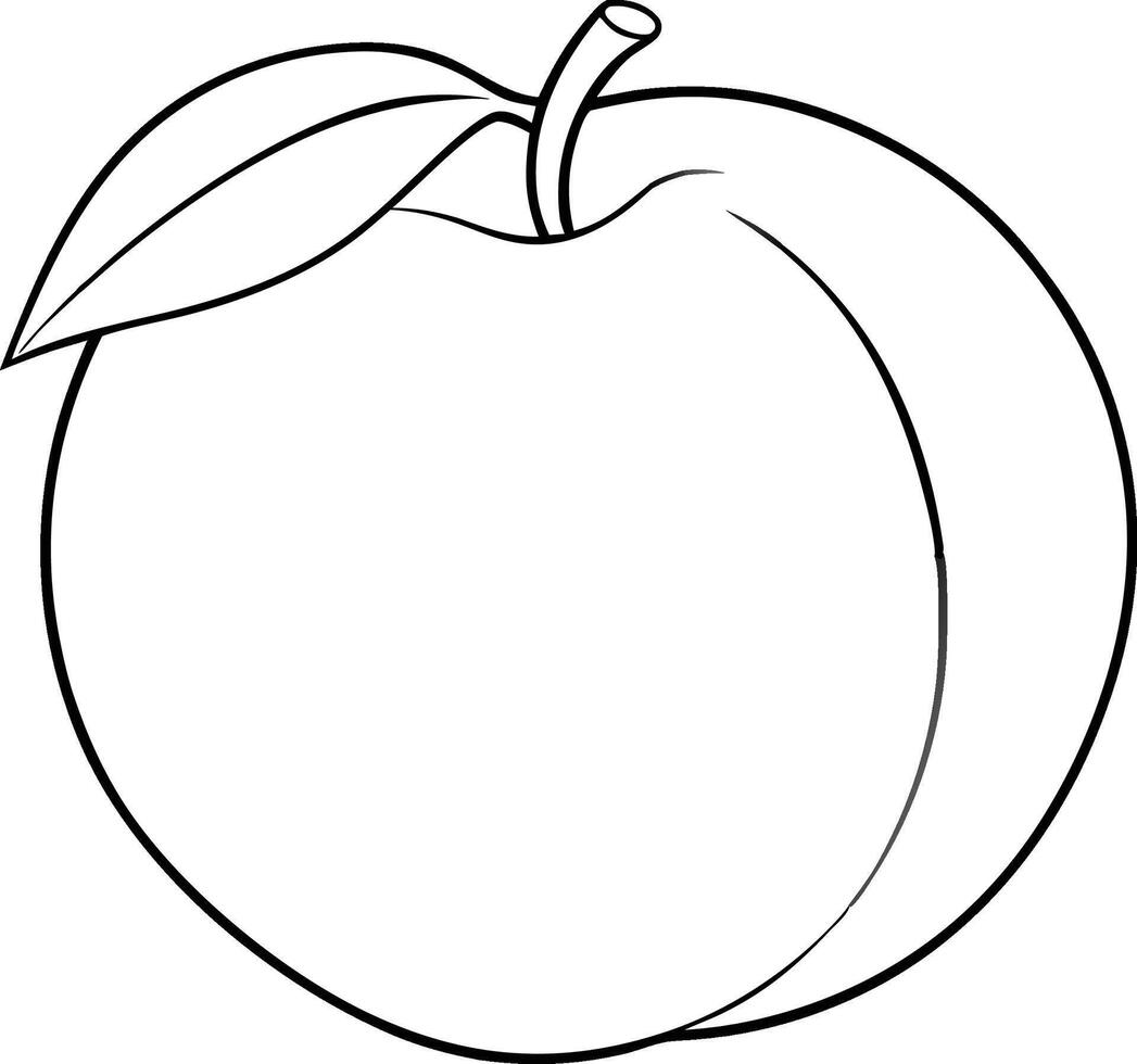 peach line art illustration . vector