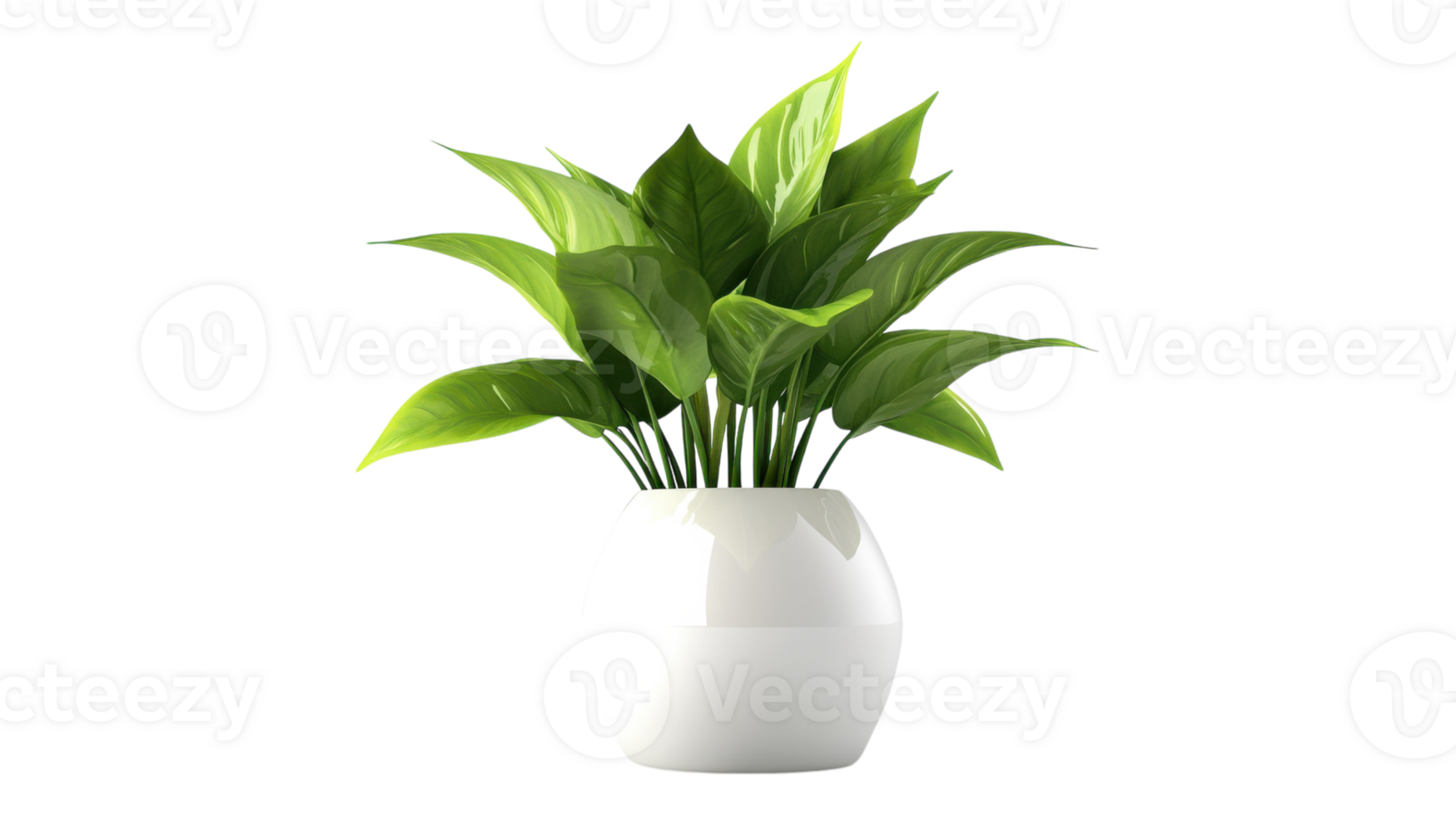 A white vase with green leaves in it png
