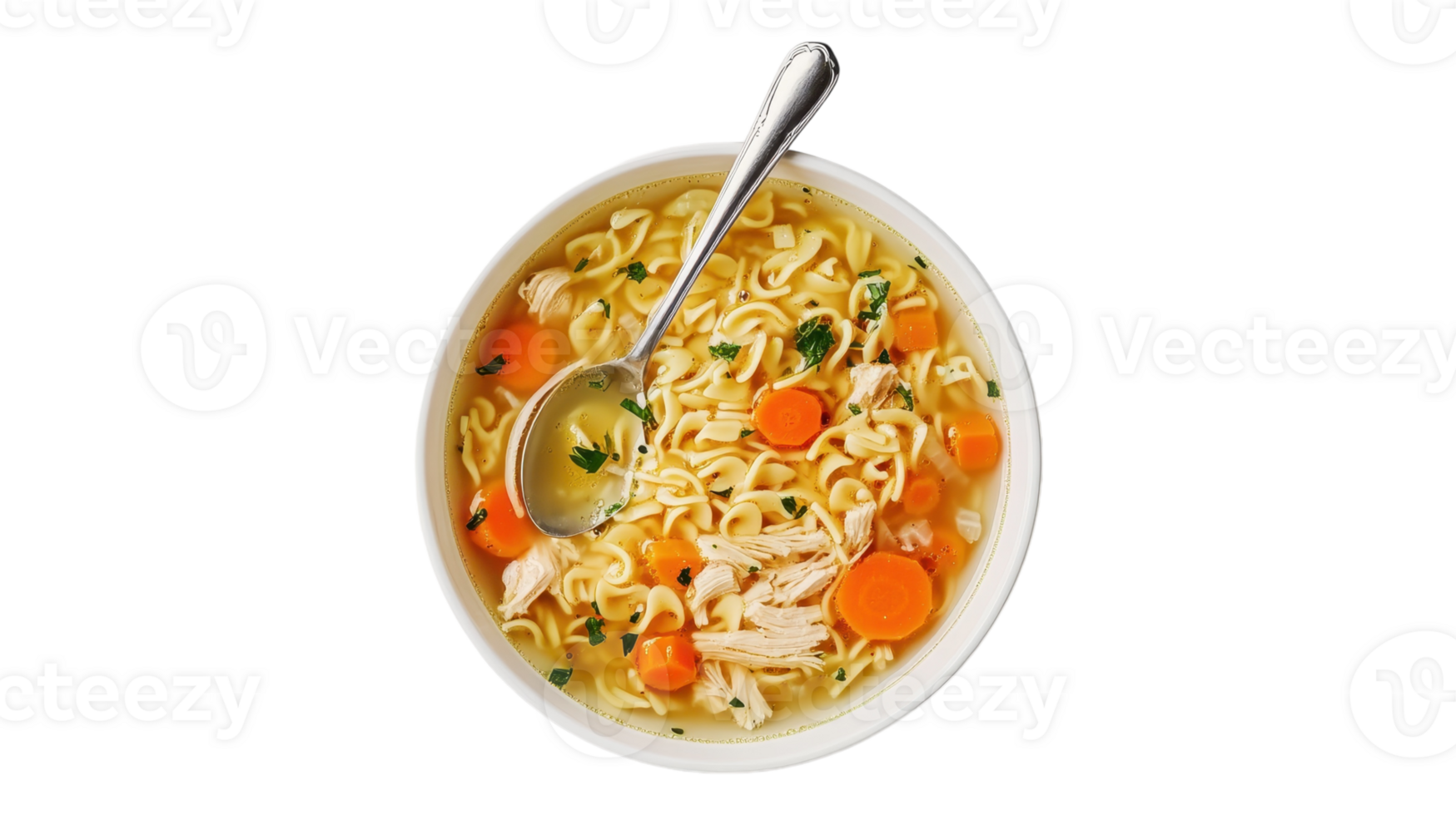 Chicken noodle soup with carrots and chicken png