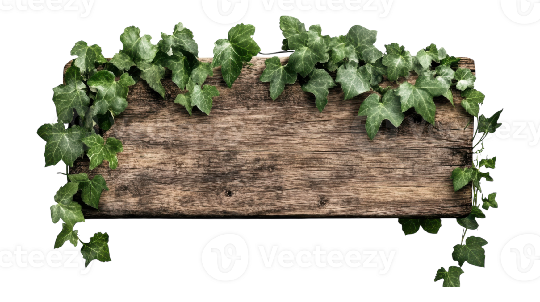 A wooden sign with ivy growing on it png