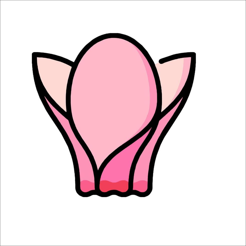 A pink flower with a white background vector