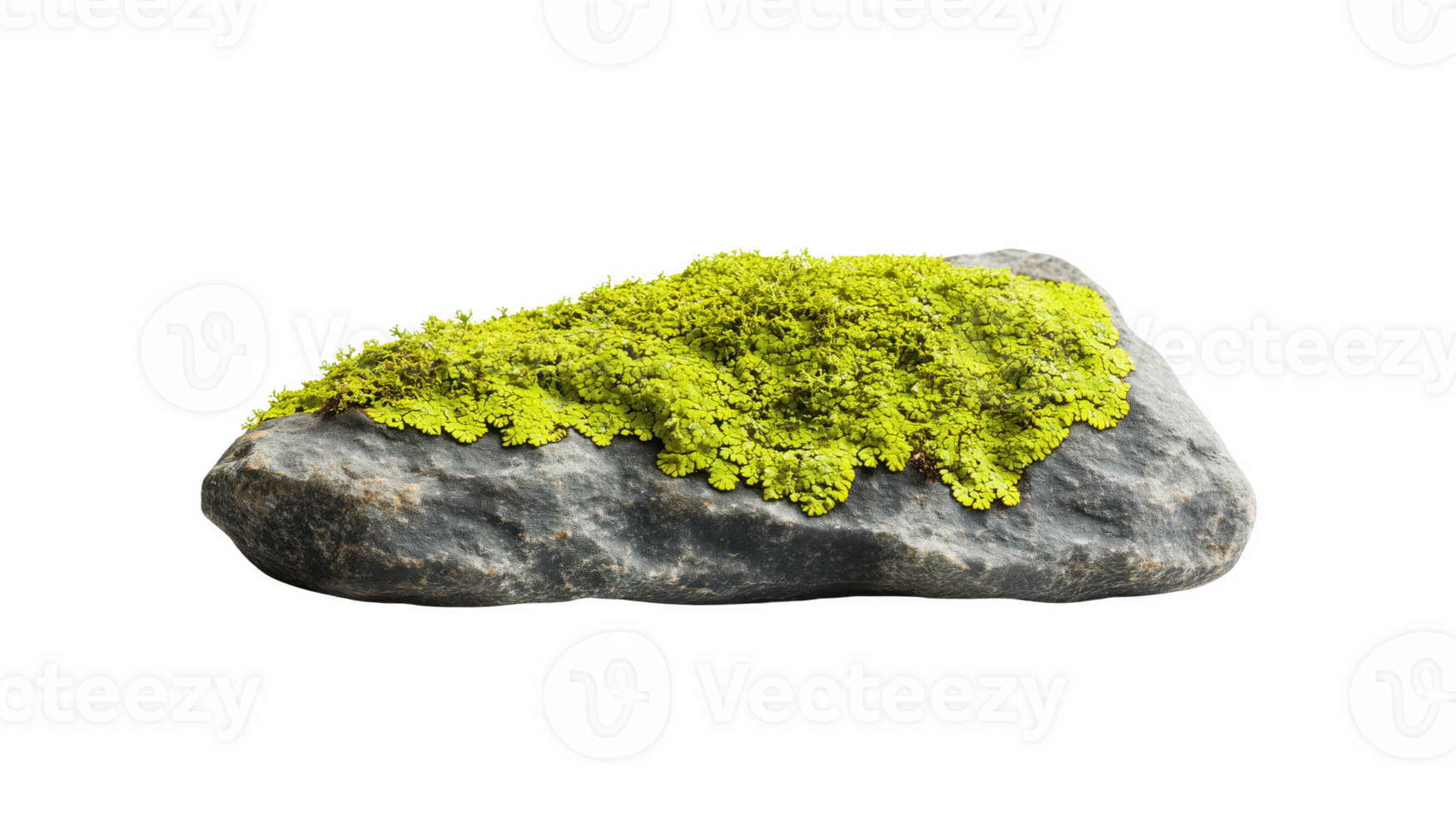 Rock covered with vibrant green moss, isolated on transparent background. png