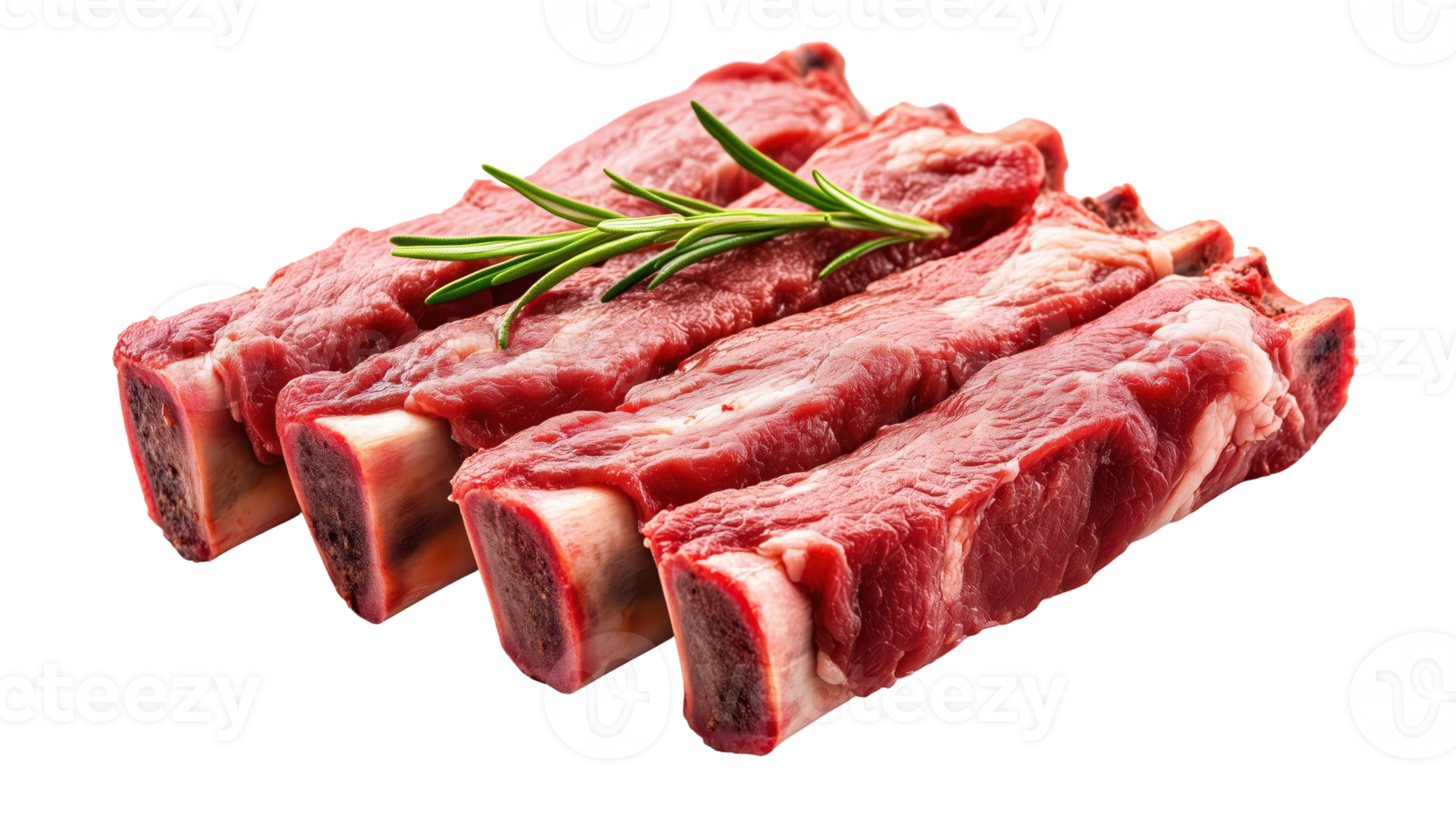 Fresh raw beef ribs with rosemary isolated on transparent background. png