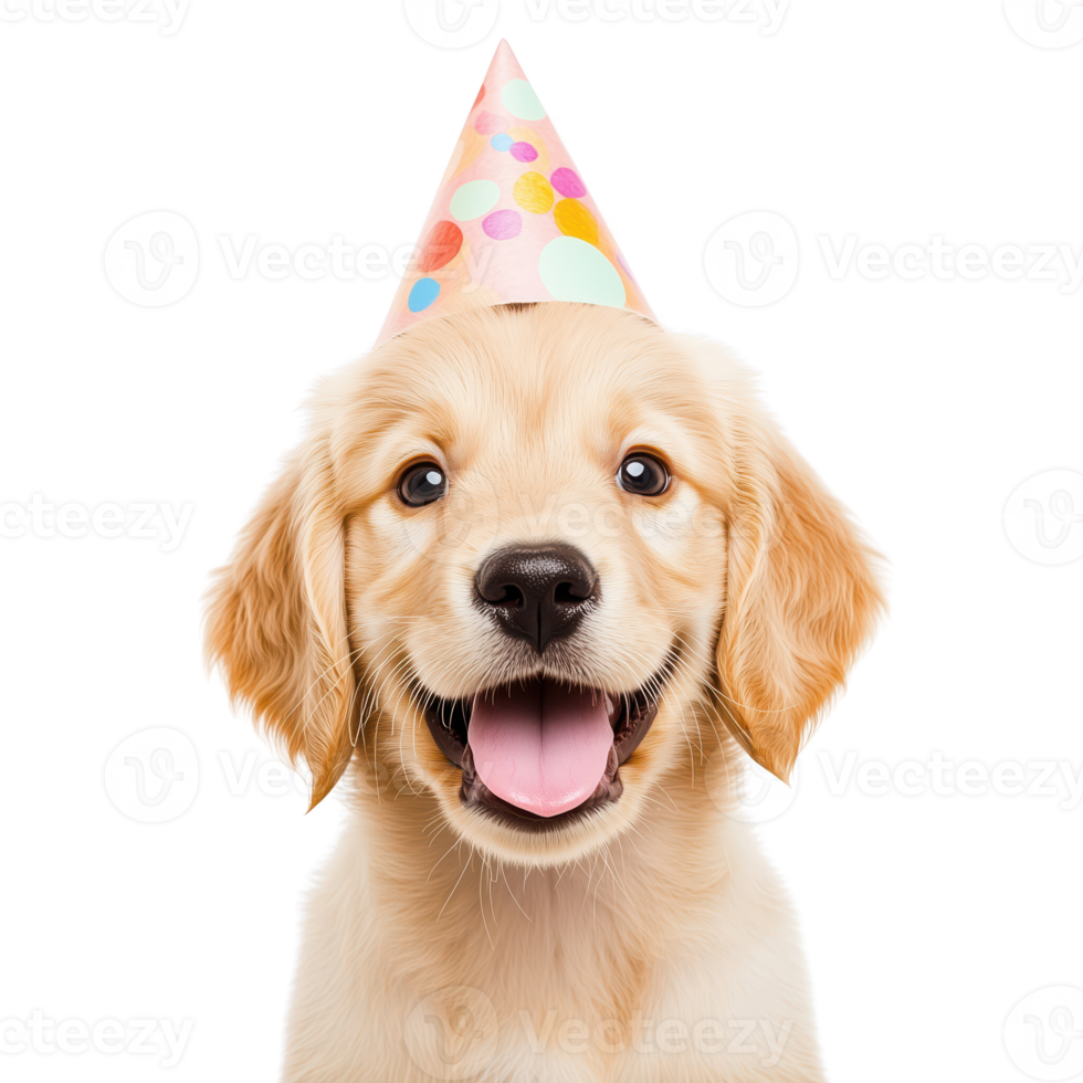 Cute puppy wearing a birthday hat, isolated on transparent background. png