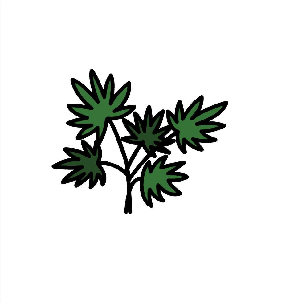 A marijuana plant icon on a white background vector