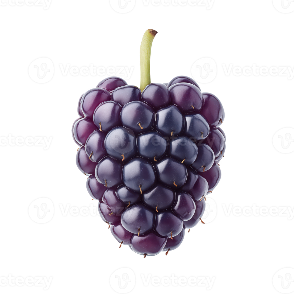Fresh, ripe purple grape cluster isolated on transparent background. png