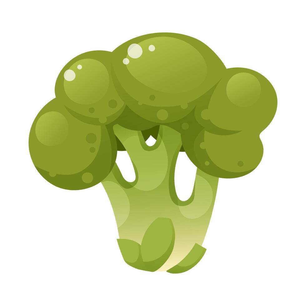 illustration of broccoli, whole bunch of cauliflower, on white background. Whole head of green broccoli, organic food, vegetable, garden harvest, healthy food, greens, ingredient. vector