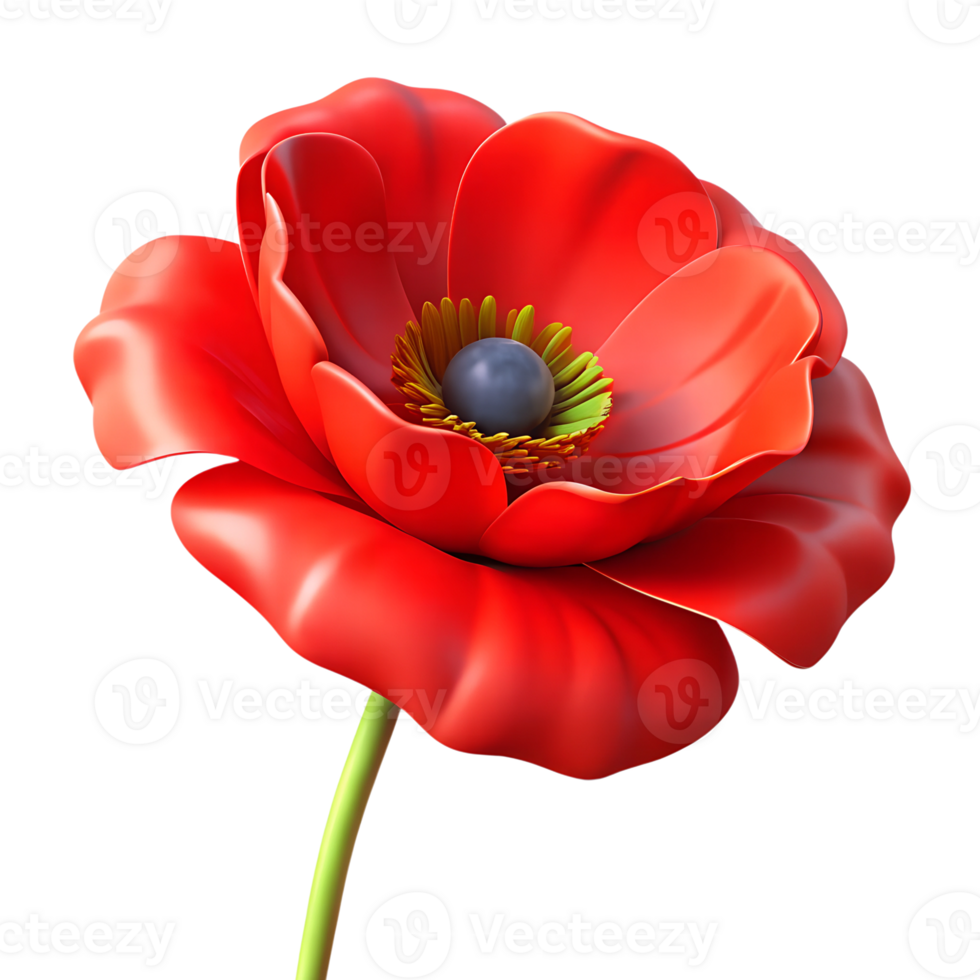 Red poppy flower 3d illustration isolated on the transparent background png