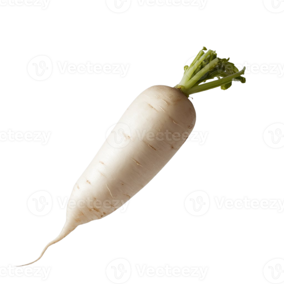 Photograph featuring a lone white radish on a clear background png