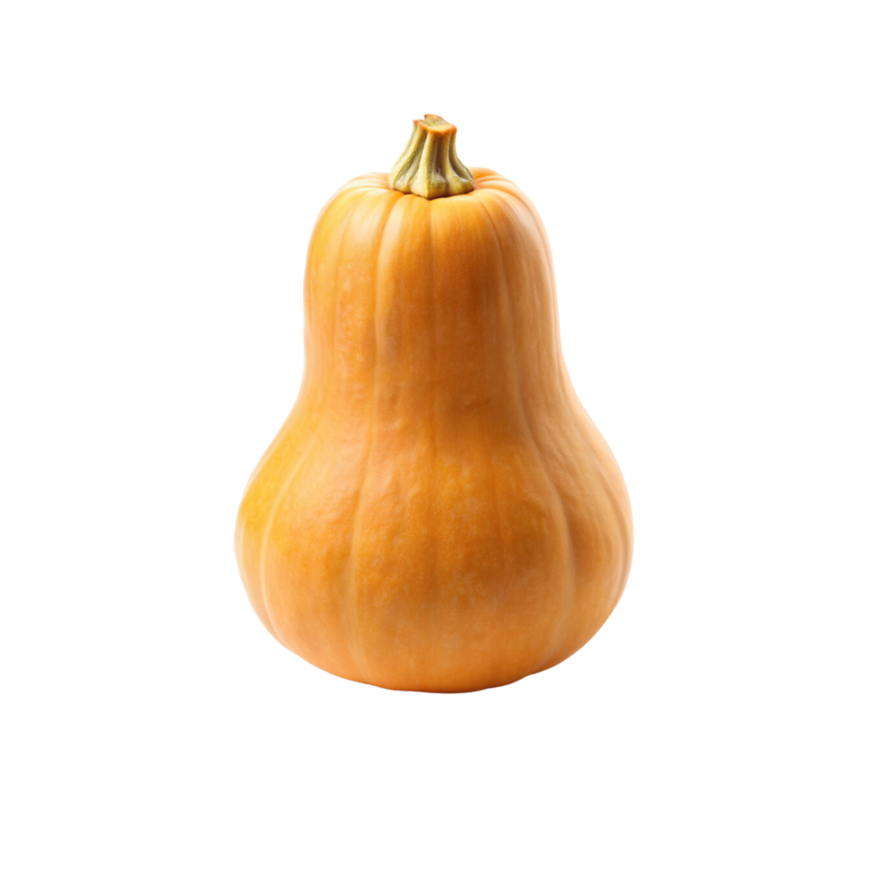 A single pumpkin on a transparent png