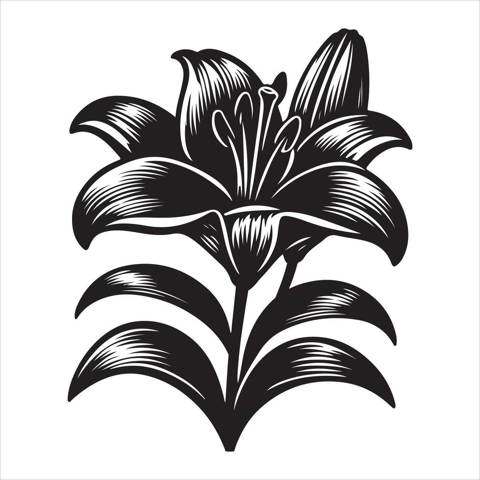 Lily flower silhouette file vector