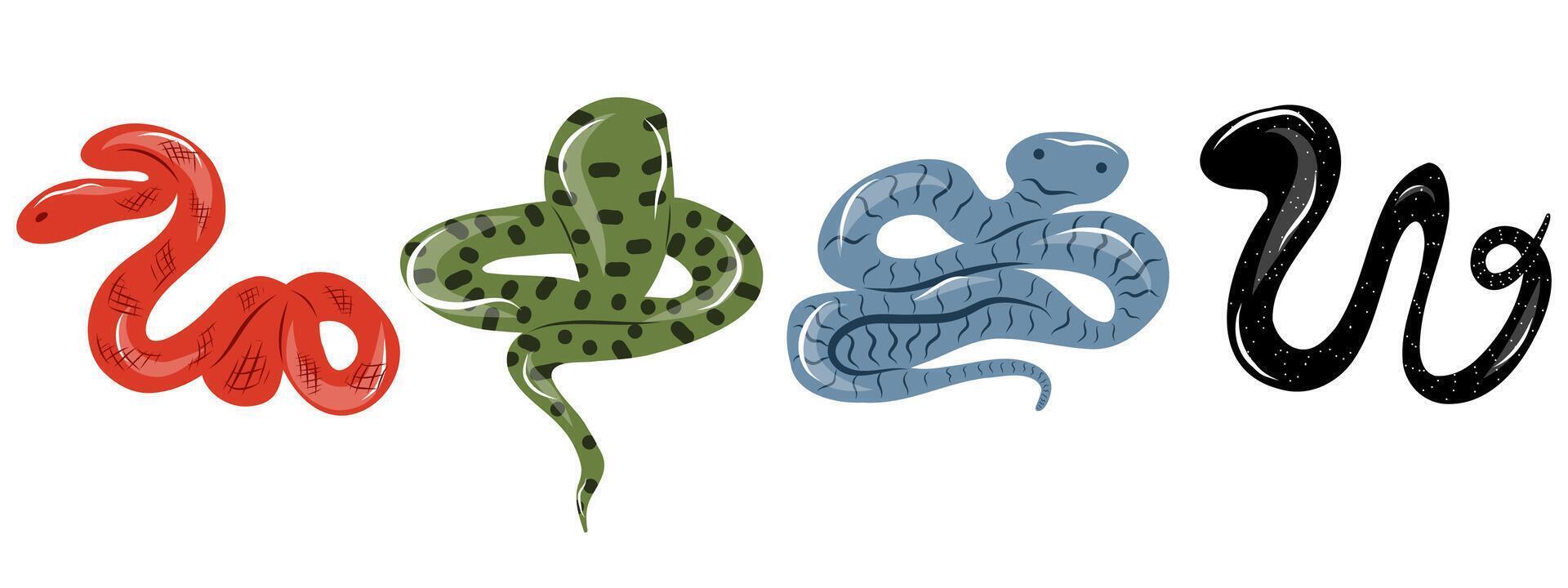 Set of hand drawn snakes and serpents of different colors and shapes on white background, Snakes Clip art vector