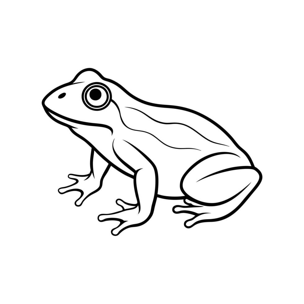 Frog Illustration for Children's Coloring Pages vector