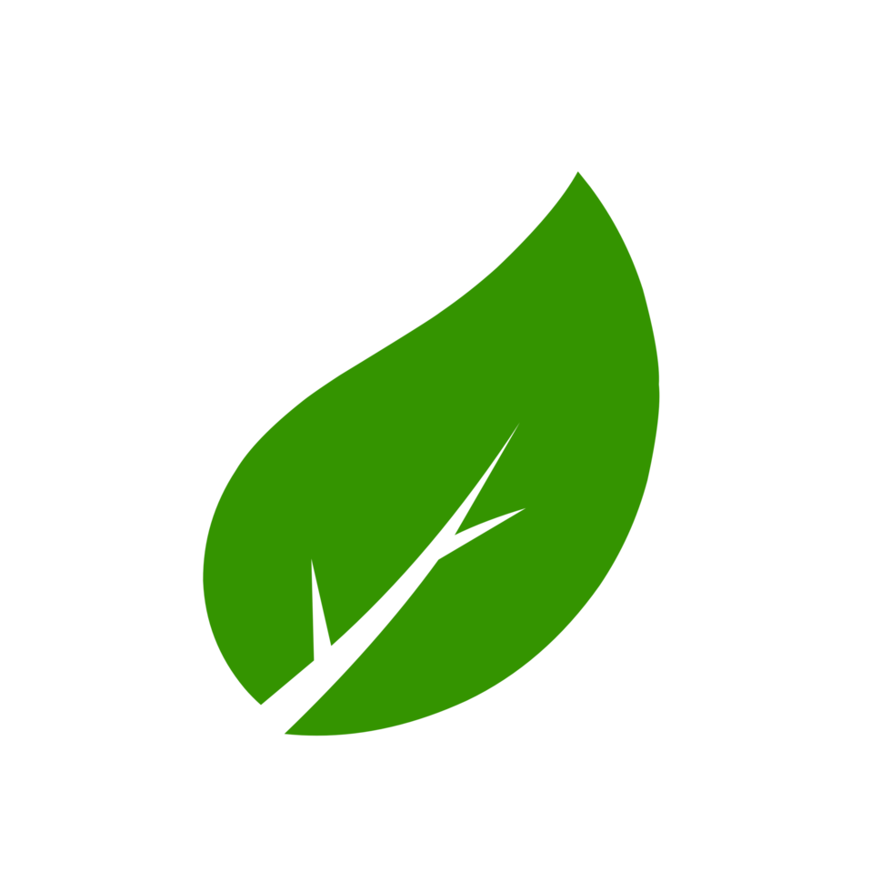 Green leaf icon. Leaves icon on flat style. Elements design for natural, eco, vegan, bio labels. png